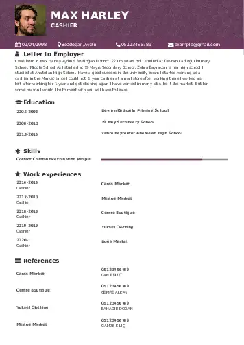   resume example